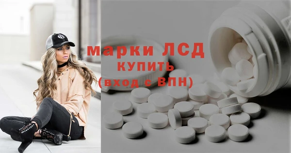 мяу мяу мука Аркадак