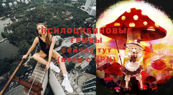 спиды Пестово