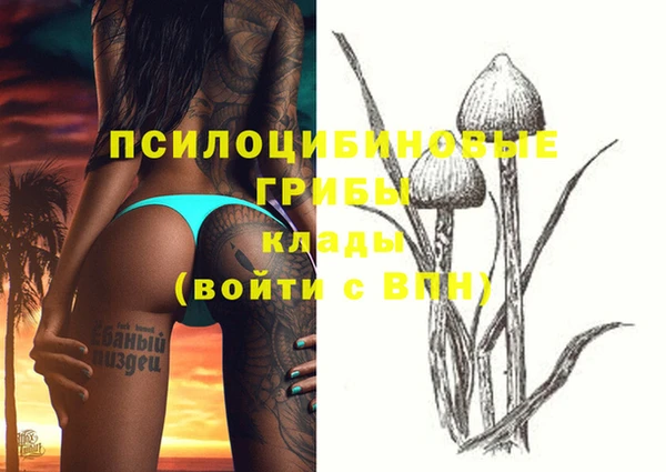 мяу мяу мука Аркадак