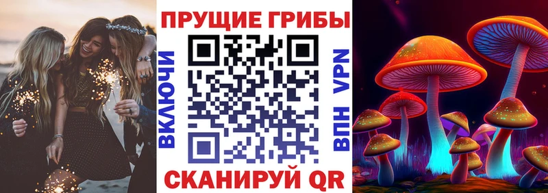 Псилоцибиновые грибы мицелий  как найти   Городище 
