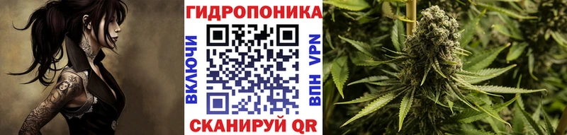 МАРИХУАНА ГИДРОПОН  Городище 
